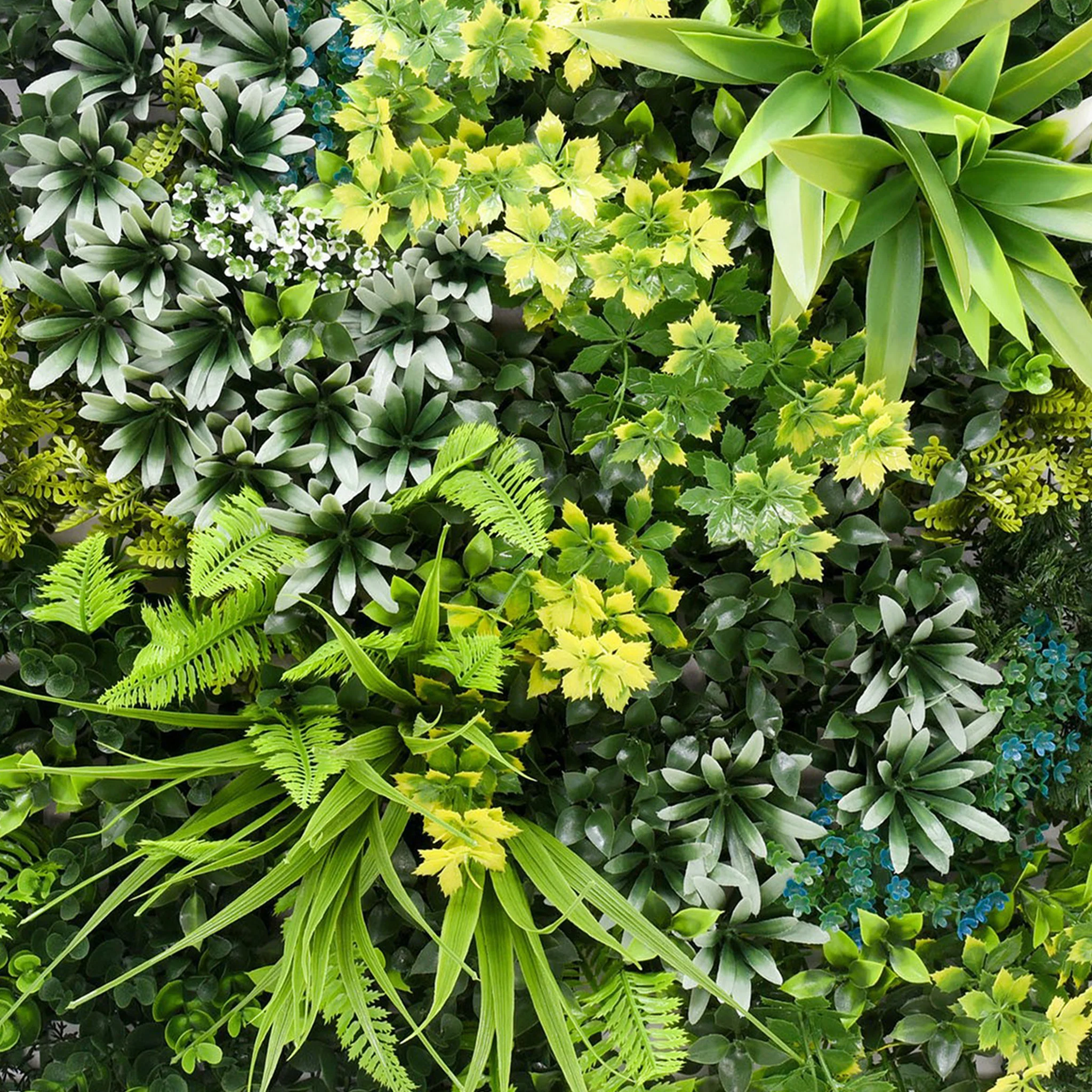 Vibrant medley green wall (3 pack) - Image 5