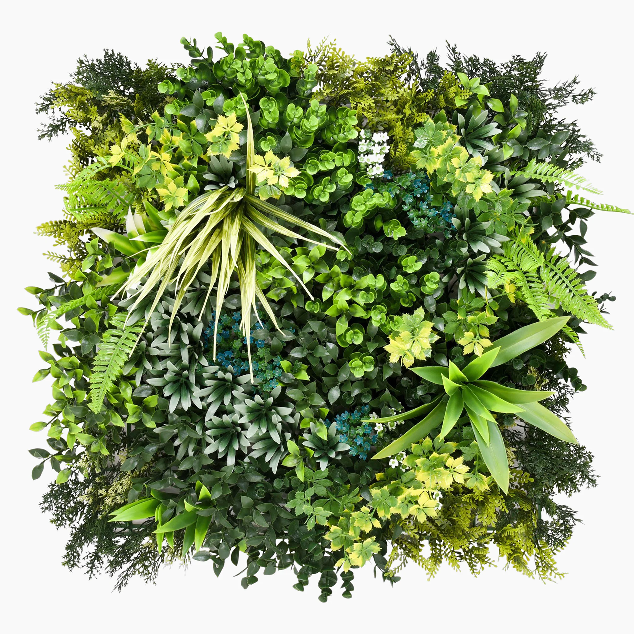 Vibrant medley green wall (3 pack) - Image 6